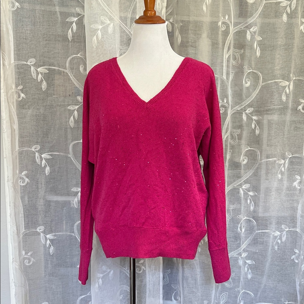 NWT XL INC Women's V-Neck Sweater with Petite Sparkling Sequins- Hot Pink